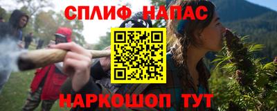 молекула духа Новозыбков
