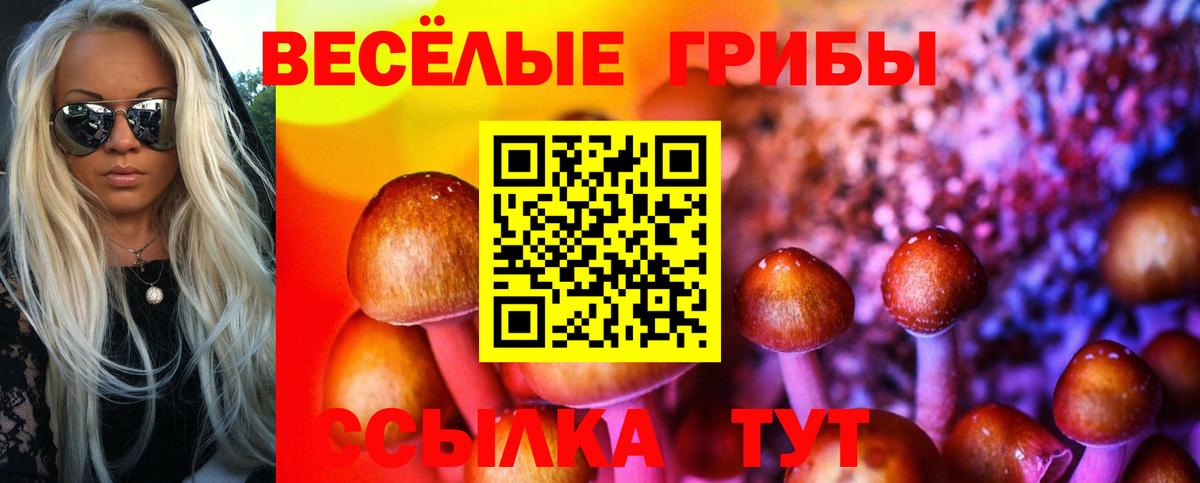 Великий Новгород  Псилоцибиновые грибы Cubensis  Вход с VPN 
