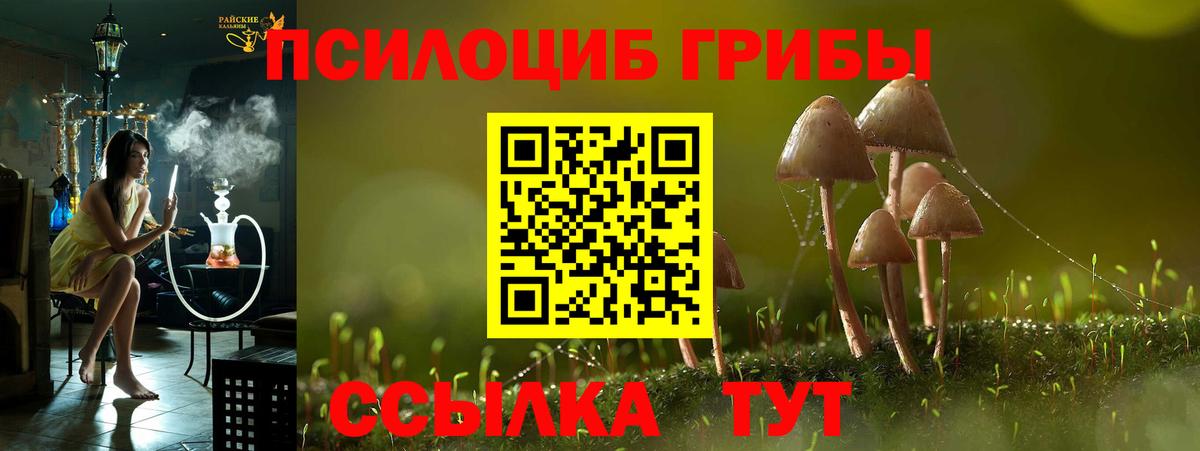 Марихуана Великий Новгород
